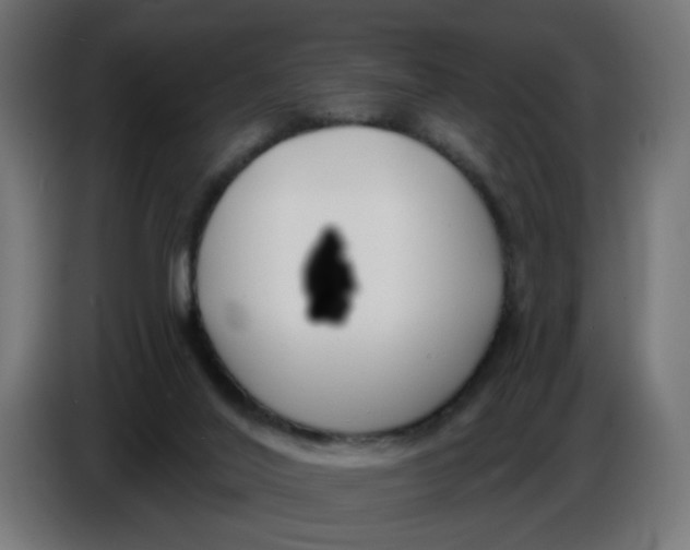 X0000086780020200705041537