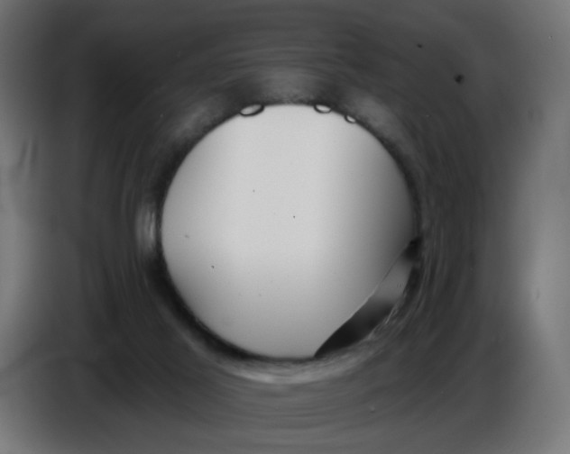 X0000086780021200705041537