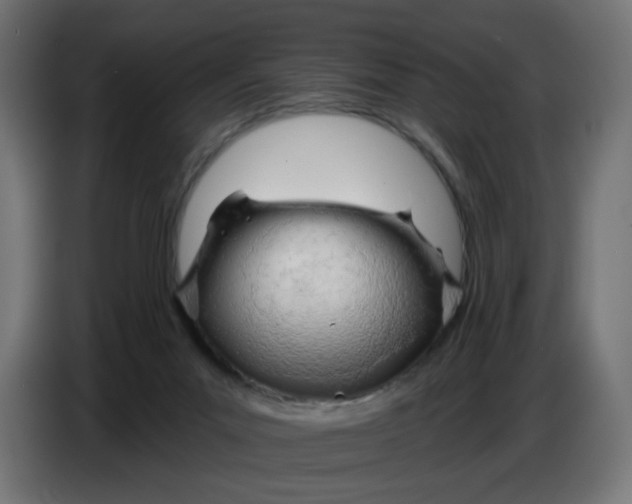 X0000086780023200705041537