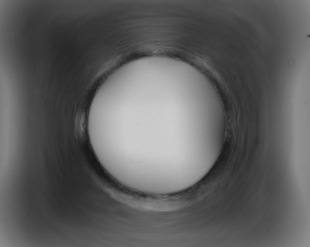 X0000086780024200705041537