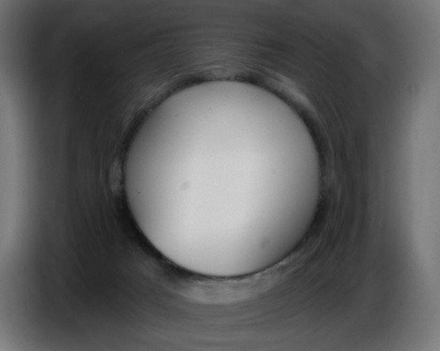 X0000086780025200705041537