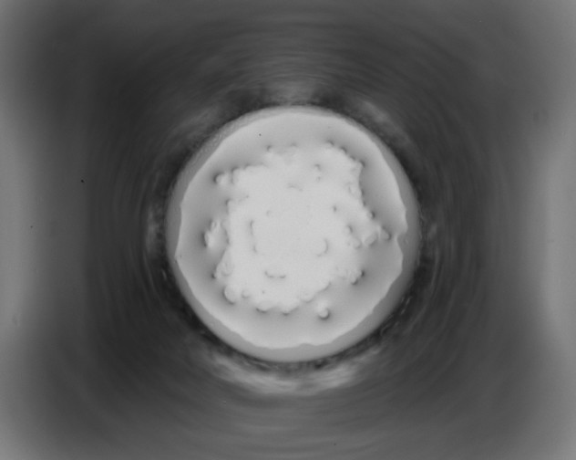 X0000086780026200705041537