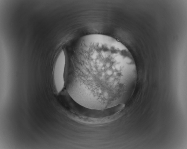 X0000086780027200705041537