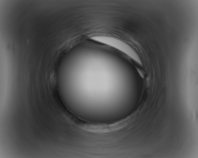 X0000086780029200705041537