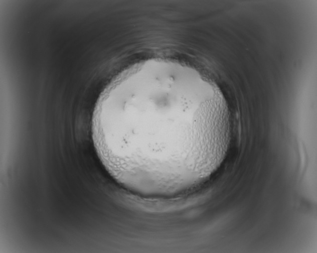 X0000086780030200705041537