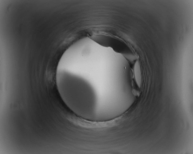 X0000086780031200705041537