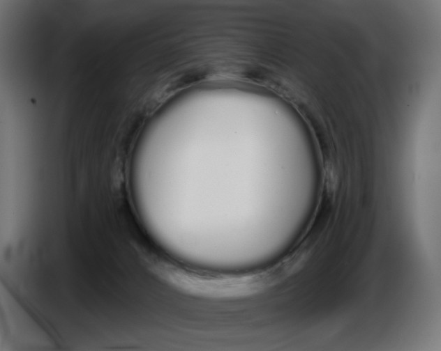 X0000086780032200705041537