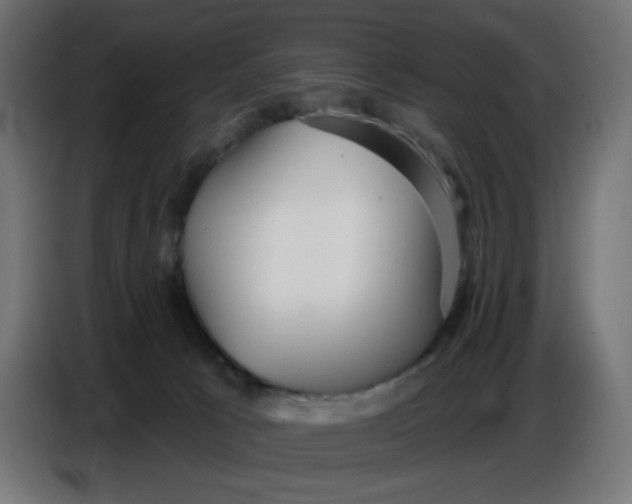 X0000086780033200705041537