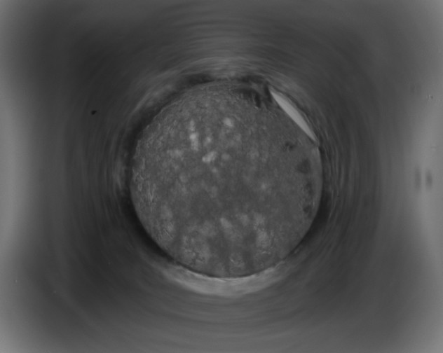 X0000086780035200705041537