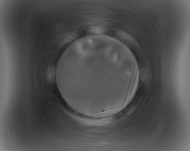 X0000086780036200705041537