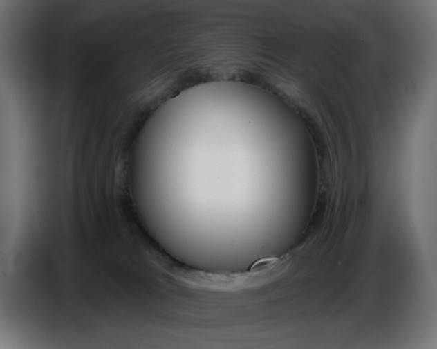 X0000086780037200705041537