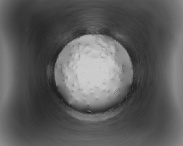 X0000086780038200705041537