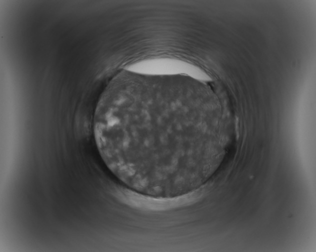 X0000086780039200705041537