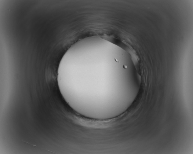 X0000086780040200705041537