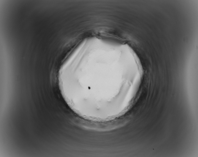 X0000086780042200705041537