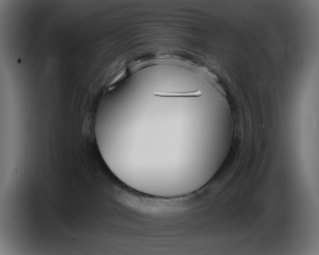 X0000086780044200705041537