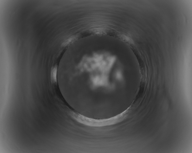 X0000086780047200705041537