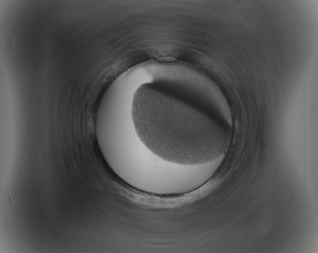 X0000086780048200705041537