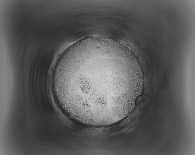 X0000086780049200705041536