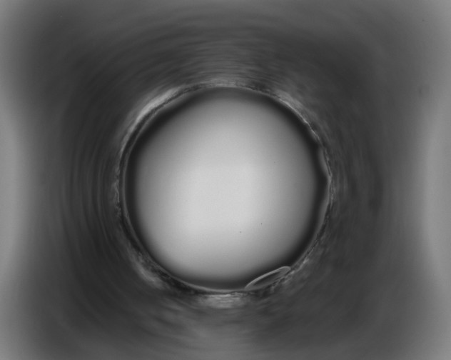 X0000086780050200705041536