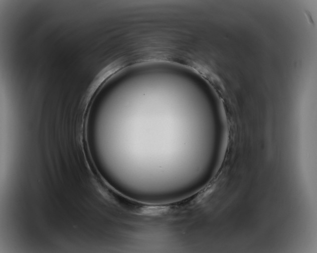 X0000086780051200705041536