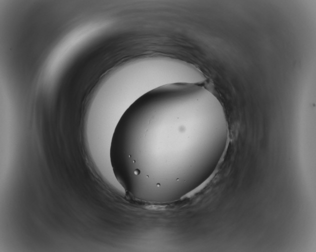 X0000086780052200705041536