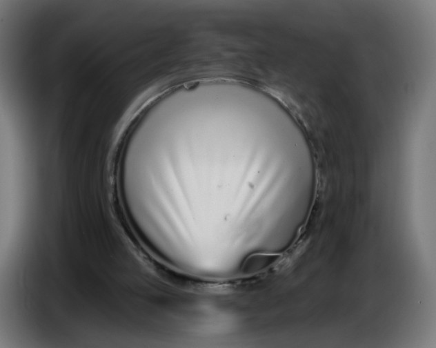 X0000086780053200705041536