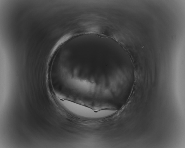 X0000086780054200705041536