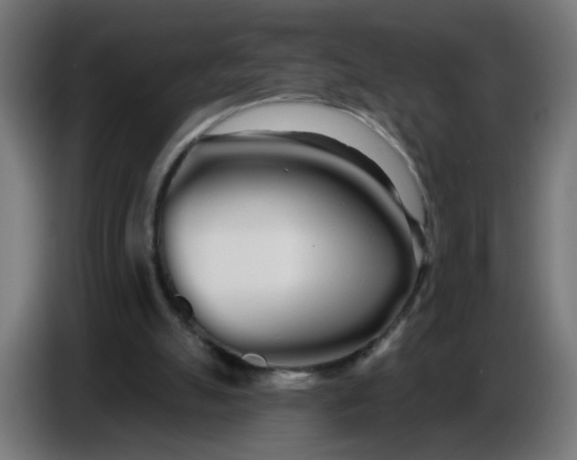 X0000086780055200705041536