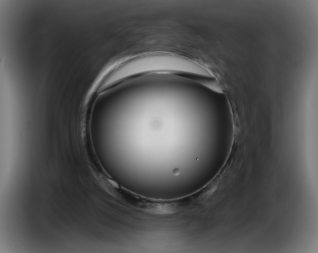 X0000086780056200705041536