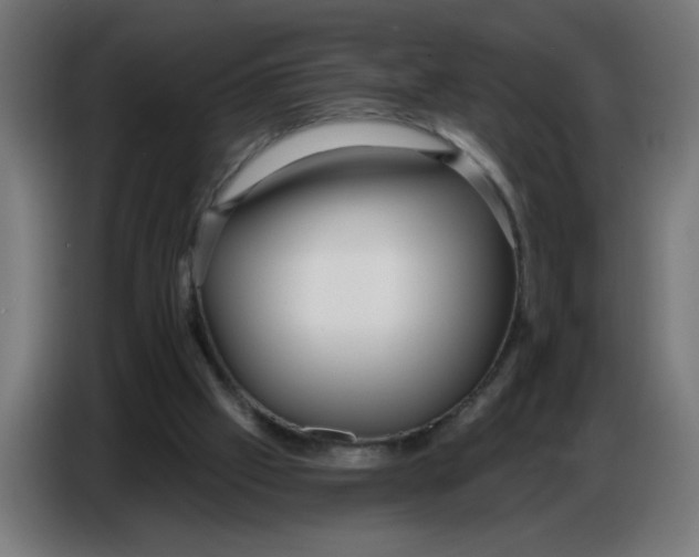 X0000086780057200705041536