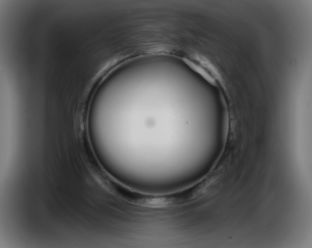 X0000086780059200705041536