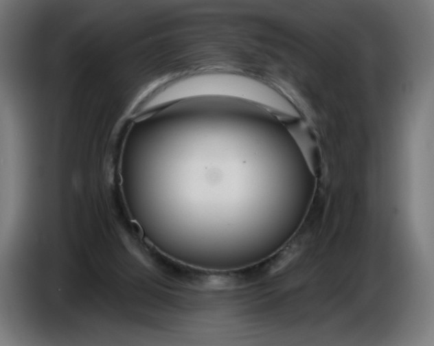 X0000086780060200705041536