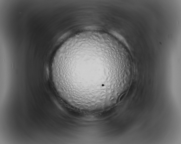 X0000086780061200705041536