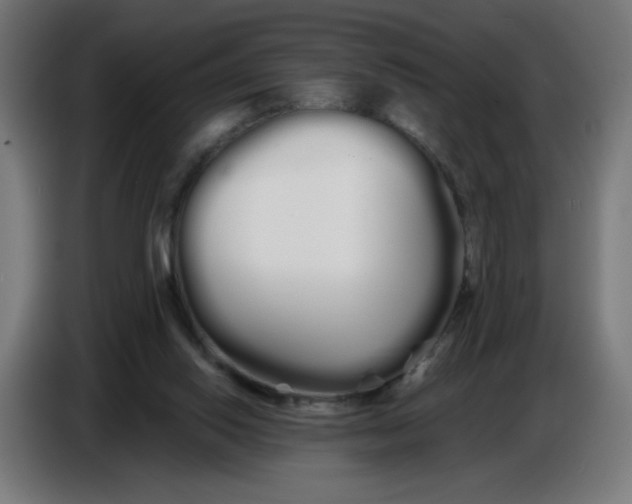 X0000086780062200705041536