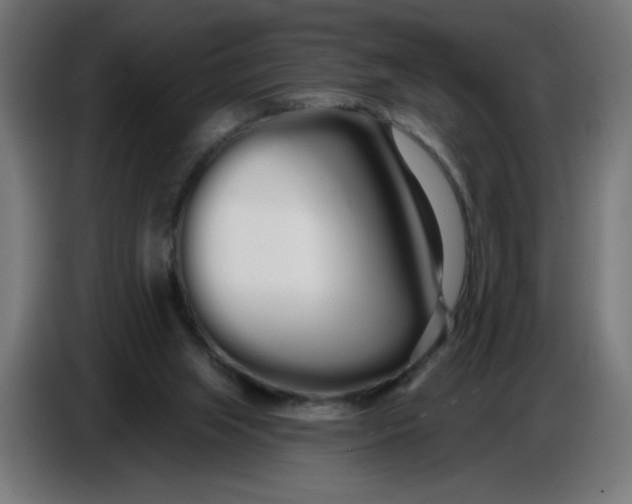 X0000086780063200705041536