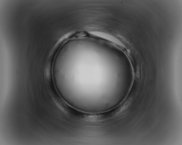 X0000086780064200705041536