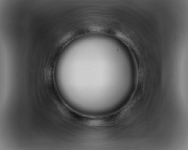 X0000086780066200705041536