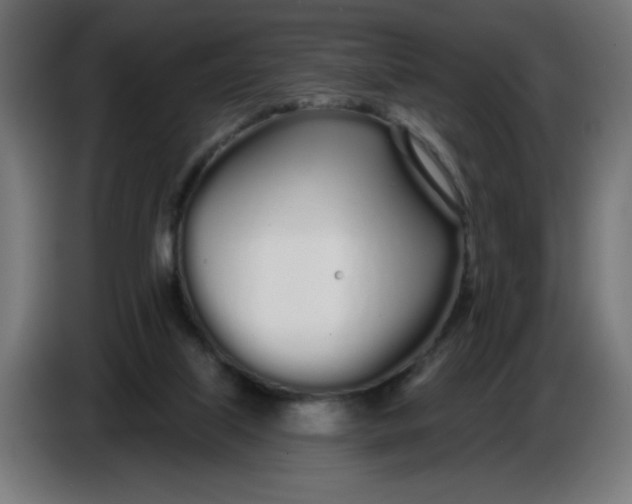 X0000086780067200705041536