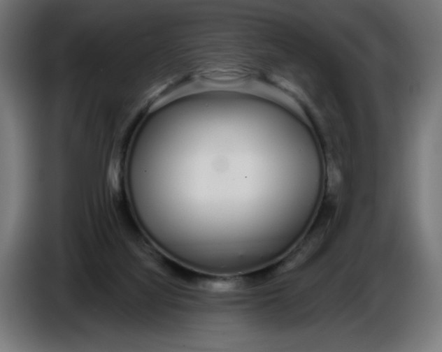 X0000086780068200705041536