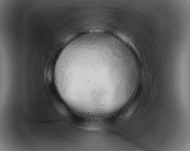 X0000086780069200705041536