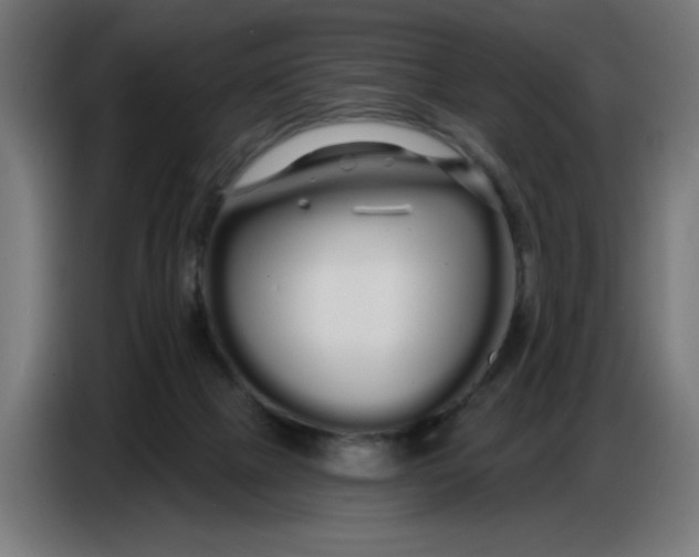 X0000086780073200705041536