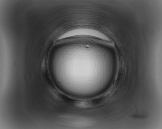 X0000086780074200705041536