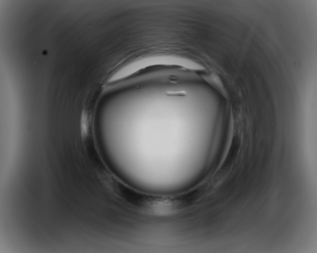 X0000086780075200705041536