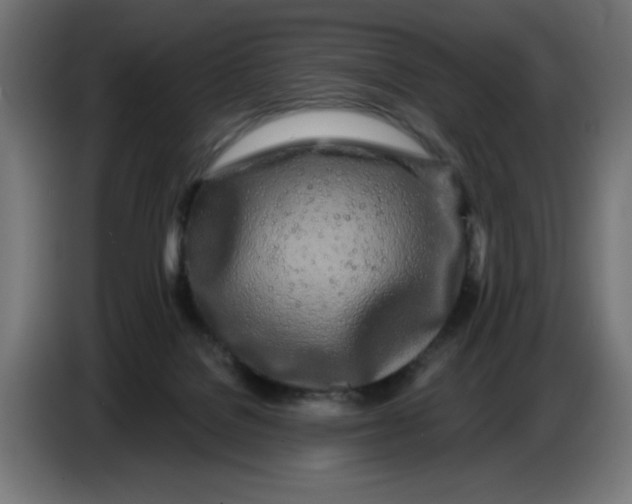 X0000086780076200705041536