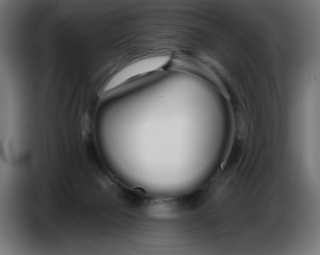 X0000086780077200705041536