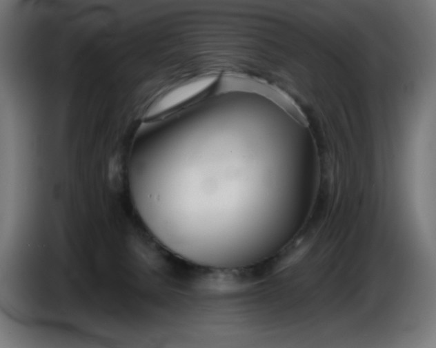 X0000086780080200705041536