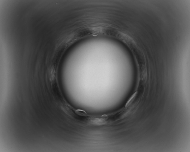 X0000086780081200705041536