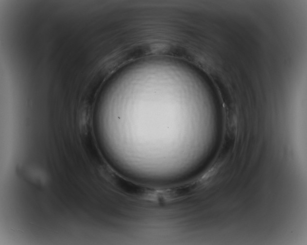 X0000086780082200705041536