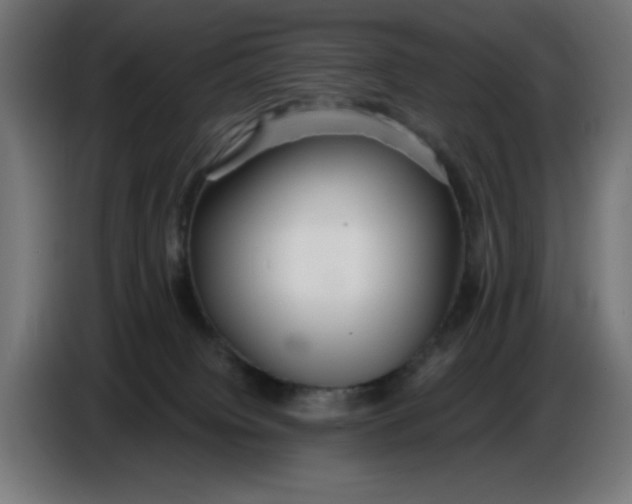 X0000086780084200705041536